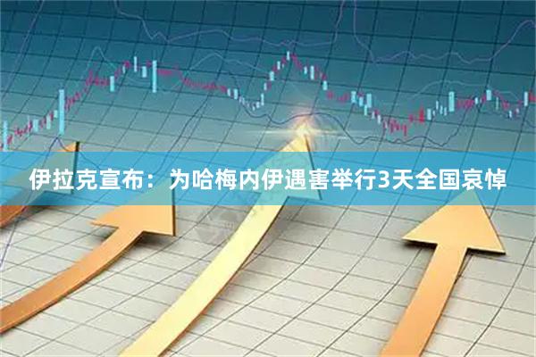 伊拉克宣布：为哈梅内伊遇害举行3天全国哀悼