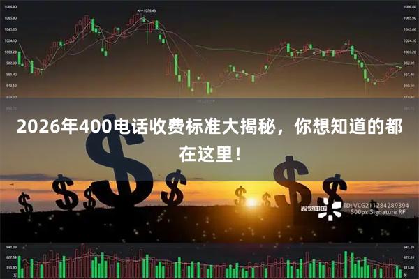 2026年400电话收费标准大揭秘，你想知道的都在这里！