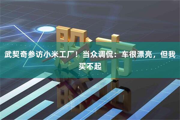 武契奇参访小米工厂！当众调侃：车很漂亮，但我买不起