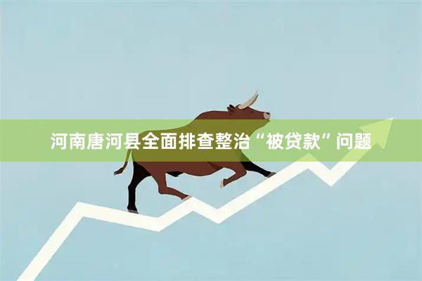 河南唐河县全面排查整治“被贷款”问题