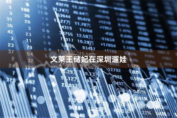 文莱王储妃在深圳遛娃