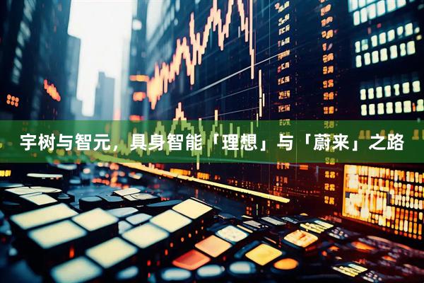 宇树与智元，具身智能「理想」与「蔚来」之路