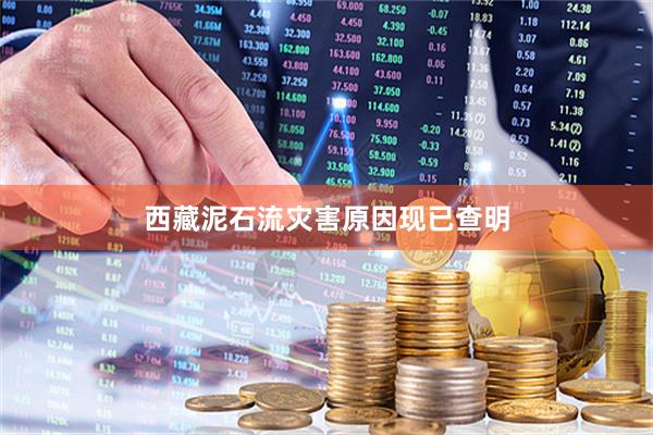 西藏泥石流灾害原因现已查明